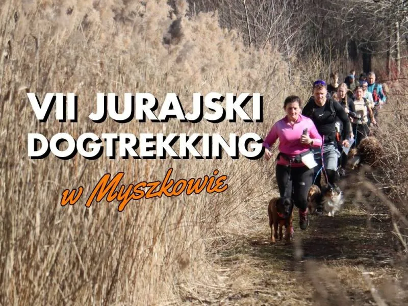 VII Jurajski Dogtrekking w Myszkowie: Relacja z wydarzenia